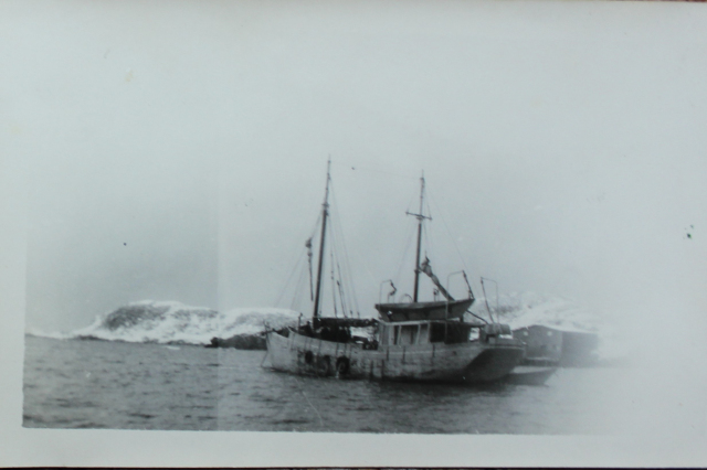 Din Pat Walsh was the local skipper on the Department of Fisheries experimental long liner called the M.V. Hubert G. Smith out of Merasheen in the winter of 1951.&amp;nbsp; M.V. Hubert G. Smith was owned and operated by Dept. of Fisheries. It involved a governmental experimental team of researchers who returned to Merasheen in the winter of 1951 as well with the first and latest gurdey long liner type fishing equipment to test on an experimental basis. Din Pat Walsh was hired on as skipper during a few winter months of fishing around Merasheen as well as other testing areas. Din Pat was valuable to the experiment being very familiar with the fishing grounds and passage ways in and out of the harbours. According to his son Ernie, while fishing they also trawled for halibut in the deep water channels off Little Merasheen. These were the days when Placentia Bay was hailed in promise of a rich valuable fishing resource and now had to be efficiently managed with the implementation of new ways and means of fishing.